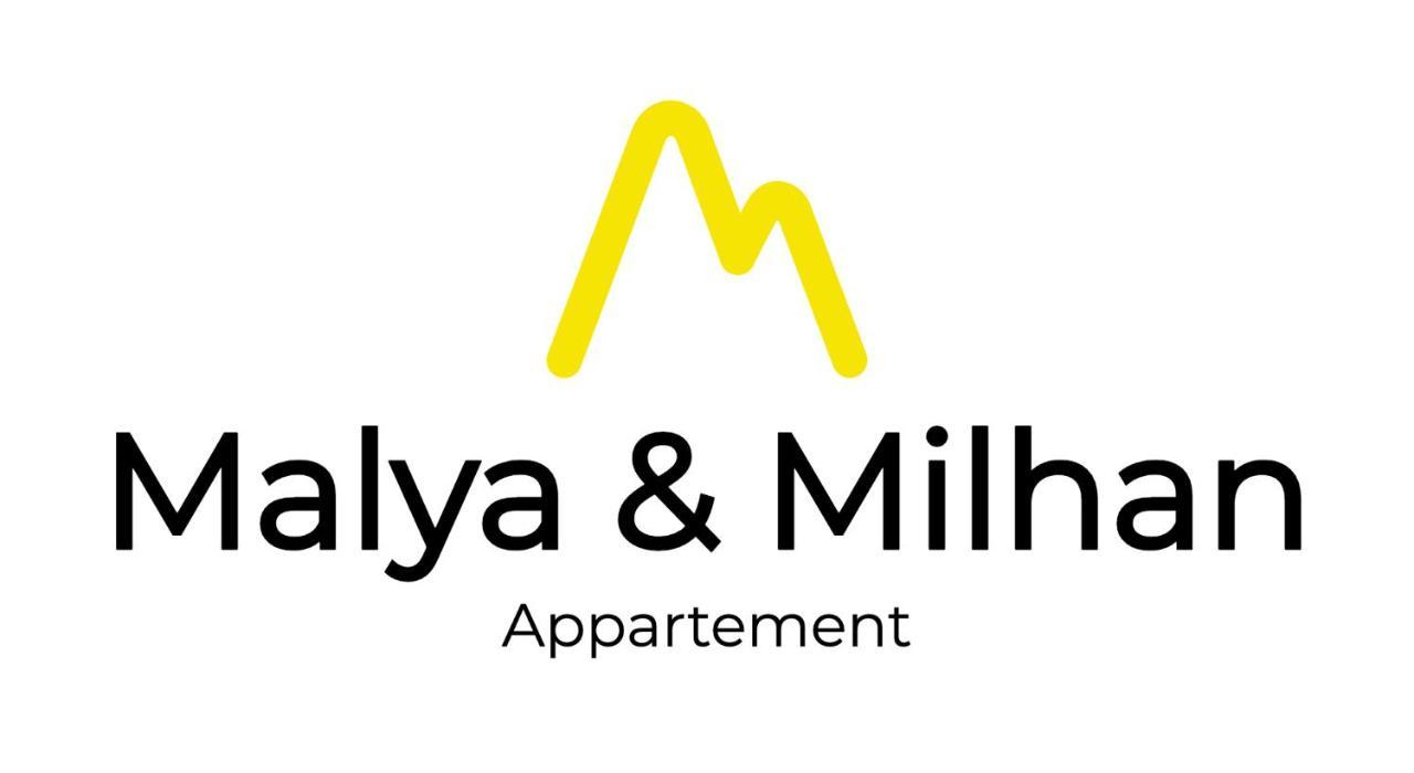 Appartement Malya & Parking Prive Grenoble Exterior foto