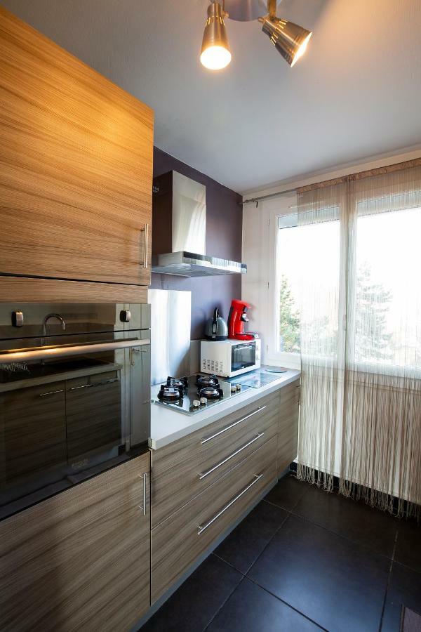 Appartement Malya & Parking Prive Grenoble Exterior foto